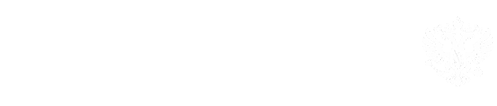 Президент России